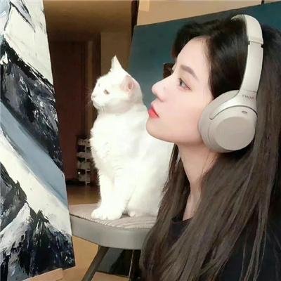 娱乐体验